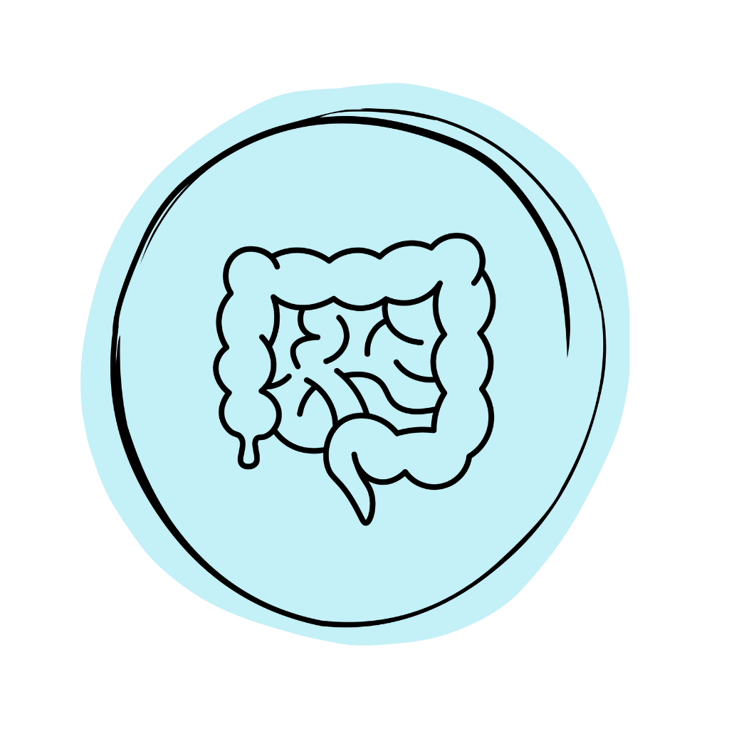 problemas-digestivos-optica-y-nutricion-integrativa